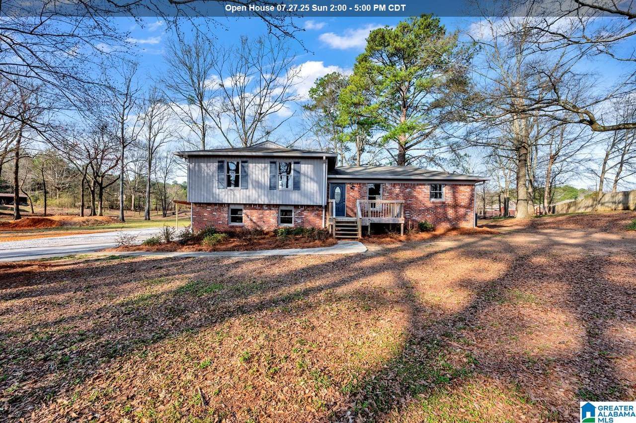 6451 Highway 119 - Photo 1