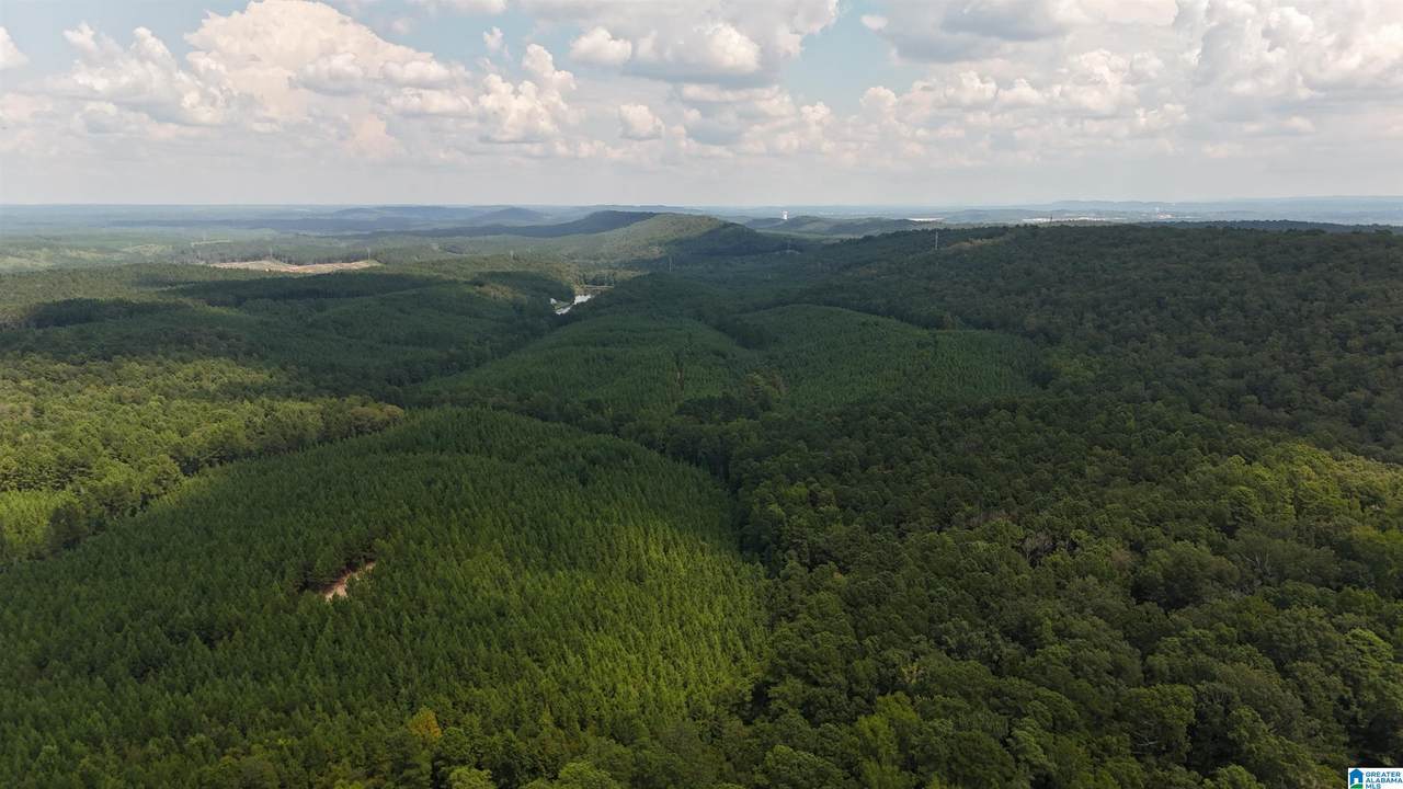 1700 Lakeside Drive - Photo 1