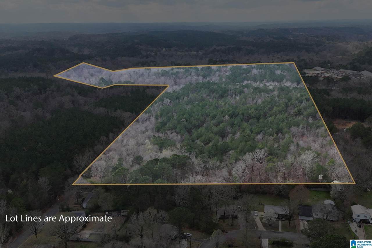 8260 Kermit Johnson Road - Photo 1