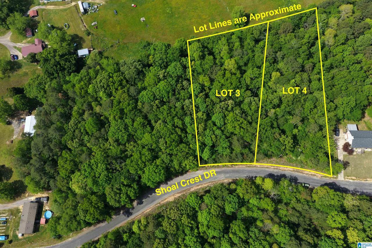 000 Shoal Crest Drive - Photo 1