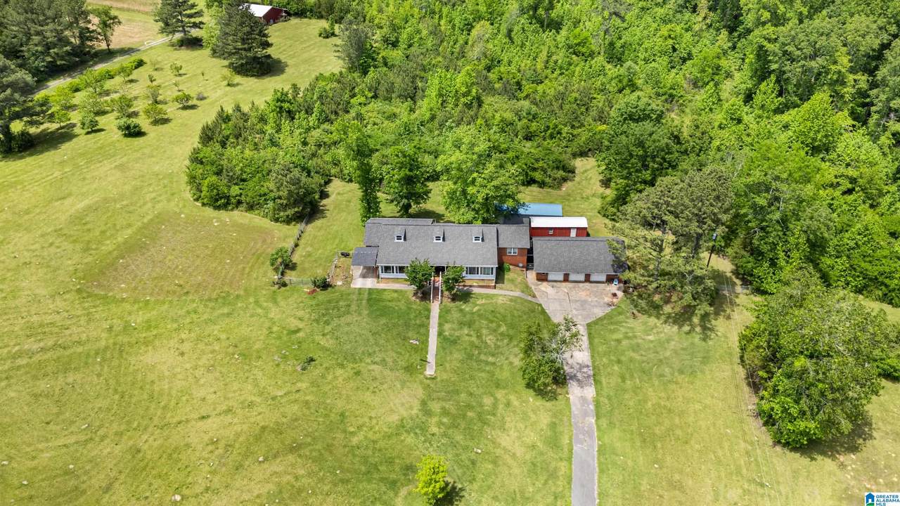 390 Chamblee Lane - Photo 1