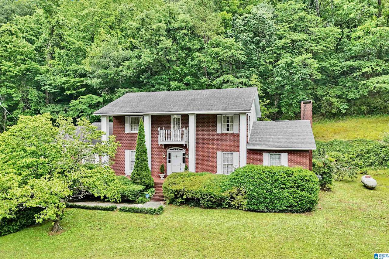 5445 Old Springville Road - Photo 1