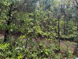 Lot 6 Cason Lane - Photo 10