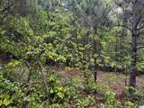 Lot 6 Cason Lane - Photo 11