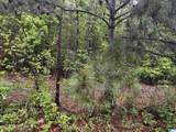 Lot 6 Cason Lane - Photo 14