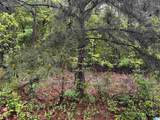 Lot 6 Cason Lane - Photo 15