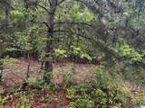 Lot 6 Cason Lane - Photo 16