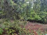 Lot 6 Cason Lane - Photo 18