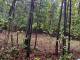 Lot 6 Cason Lane - Photo 40