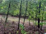 Lot 6 Cason Lane - Photo 47