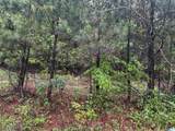 Lot 6 Cason Lane - Photo 6