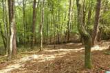 Lot 20 Foster Cove Drive - Photo 4