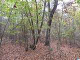 0 Fulton Gap Road - Photo 2