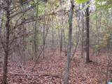0 Fulton Gap Road - Photo 3