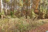 Lot 42B Hicks Bend Court - Photo 6