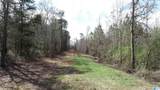0 Highway 431 - Photo 12
