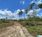0 County Road 489 - Photo 10