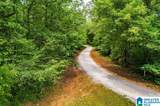 4.27 acres Antler Trail - Photo 4