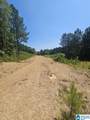 0 County Road 12 - Photo 2