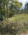 0 Sweatt Road - Photo 10