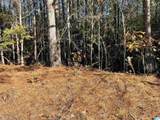 Lot 221 Shore Side Lane - Photo 20