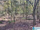 00 Alabama Highway 77 - Photo 11