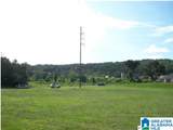 0 Hillyer Robinson Parkway - Photo 11