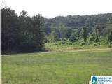 0 Hillyer Robinson Parkway - Photo 19