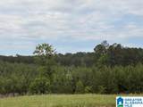 3679 Chelsea Road - Photo 50
