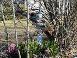 141 Dorothy Drive - Photo 21