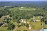 536 Old Patton Ferry Road - Photo 42