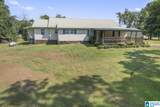 536 Old Patton Ferry Road - Photo 48