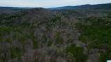 447 Oak Tree Drive - Photo 7