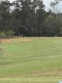 251 County Road 346 - Photo 23