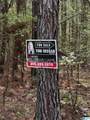 2140 Glovers Bend Road - Photo 2