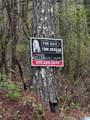 3216 Glovers Bend Road - Photo 8