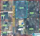 0 Drummond Avenue - Photo 6