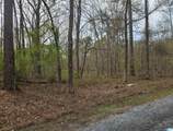 lot 39 Forestdale Drive - Photo 1