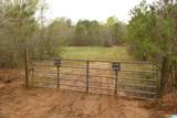 54 Acres County Road 15 - Photo 1