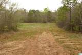 54 Acres County Road 15 - Photo 2