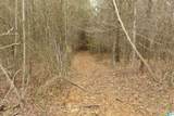54 Acres County Road 15 - Photo 3