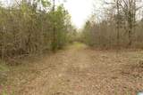 54 Acres County Road 15 - Photo 5