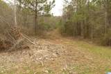 54 Acres County Road 15 - Photo 6
