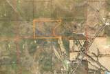 54 Acres County Road 15 - Photo 8