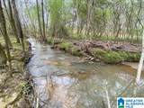  Wolf Creek Road - Photo 1