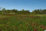 935 Shelby Lakes Ranch Way - Photo 13