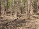 Lot 1-A River Crest Drive - Photo 6