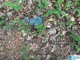 0 Davis Acres Drive - Photo 4