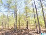 5565 Red Robin Road - Photo 10