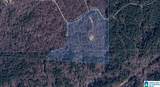 5565 Red Robin Road - Photo 12